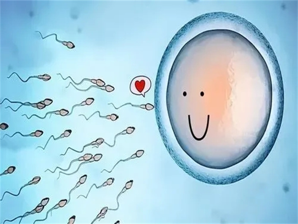 多囊治不好可以做试管婴儿吗